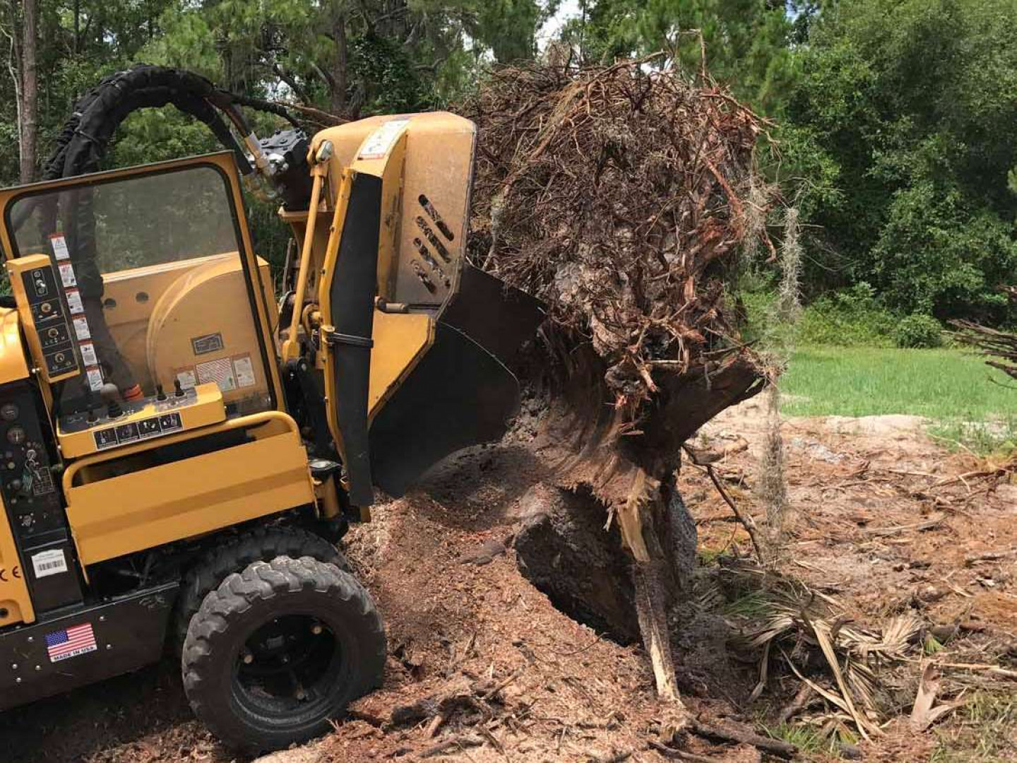 Tree Root Removal Oakland, Winter Garden & Orlando, FL Central Florida Stump Grinding